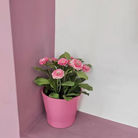 Simply The - Vitosha Blvd