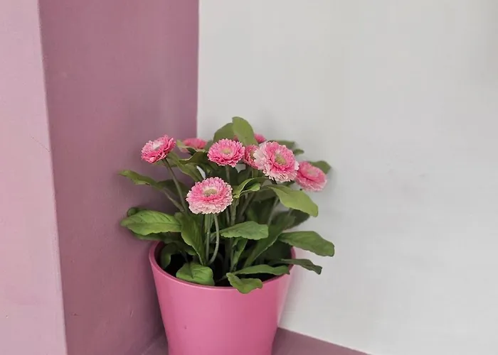 Simply The - Vitosha Blvd